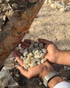 WhatsApp Image 2025-09-22 at 7.26.45 PM (1)